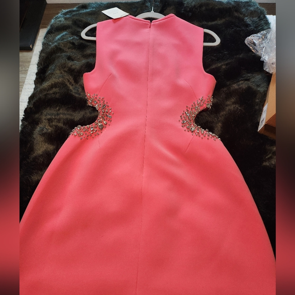 A.L.C. Skye Crystal Embellished Dress in Grapefruit - Picture 10 of 10